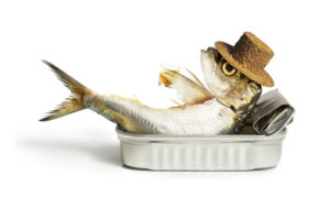 Omega 3 tegen laaggradige ontstekingen