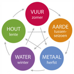 Ontdek de kracht van Do-In Yoga - Elementen